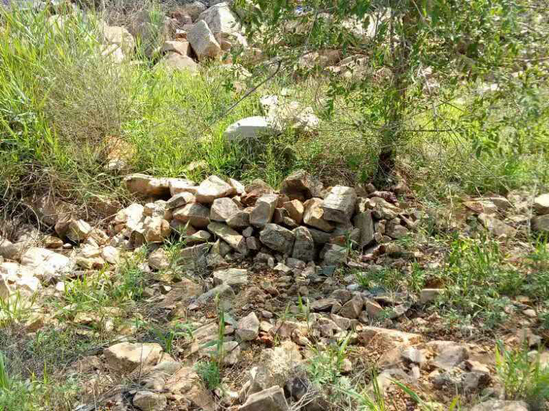 藏尸體地點(diǎn)