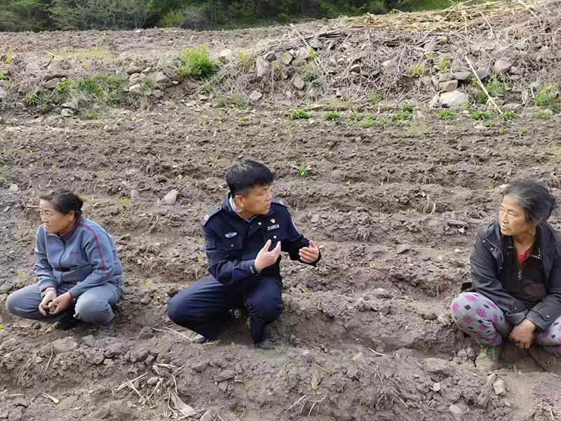 張獻(xiàn)軍(左二)在田間地頭為村民化解矛盾