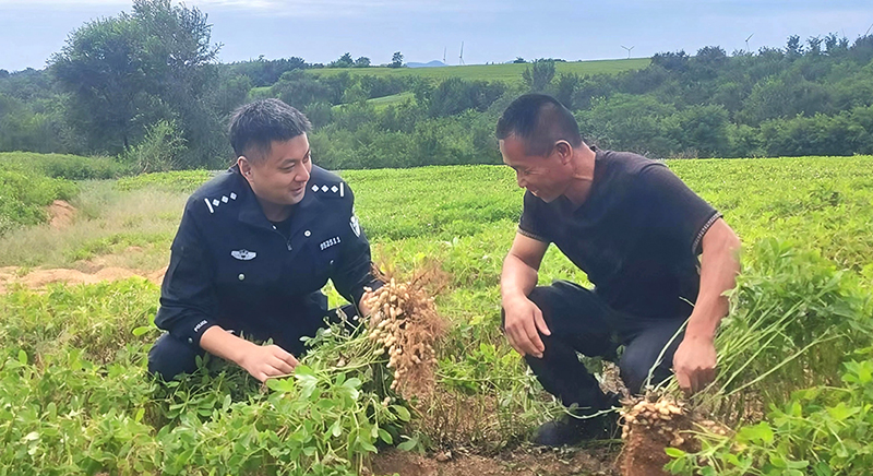 所長(zhǎng)曲傳躍與農(nóng)民在花生地里聊收成